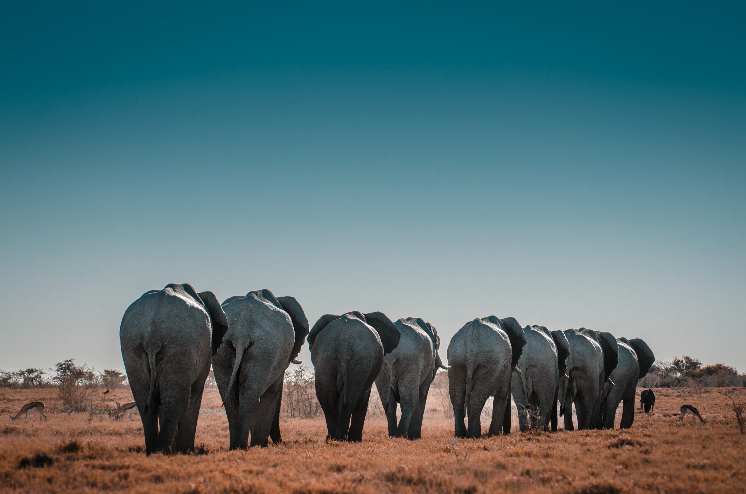 Namibia