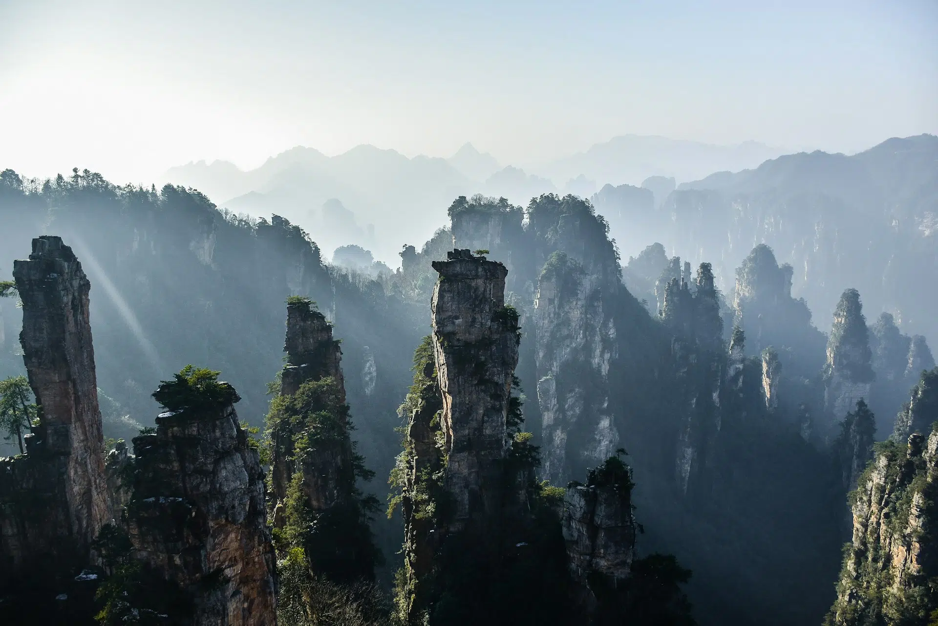 Cina